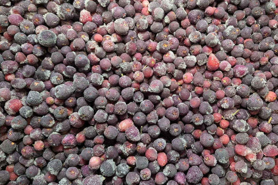 What is Riberry?