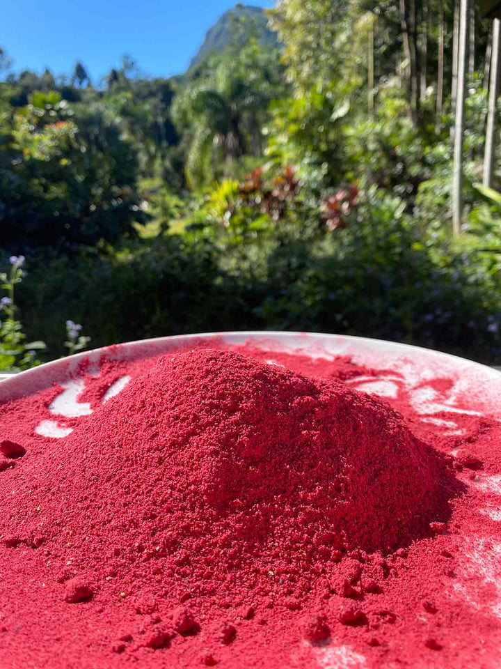 1kg x Davidson Plum Powder (Freeze Dried)