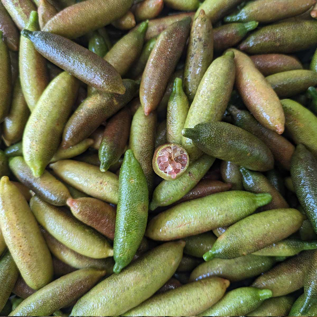 Frozen Finger Lime Fruit (15kg)