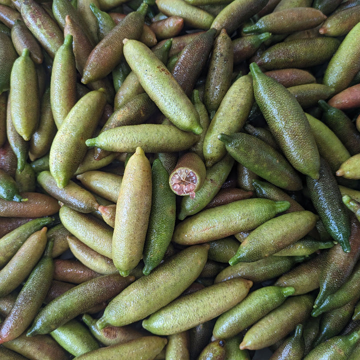 Freeze Dried Finger Lime Chips