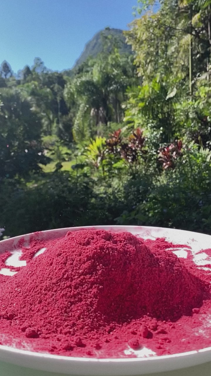Davidson Plum Powder (Freeze Dried)